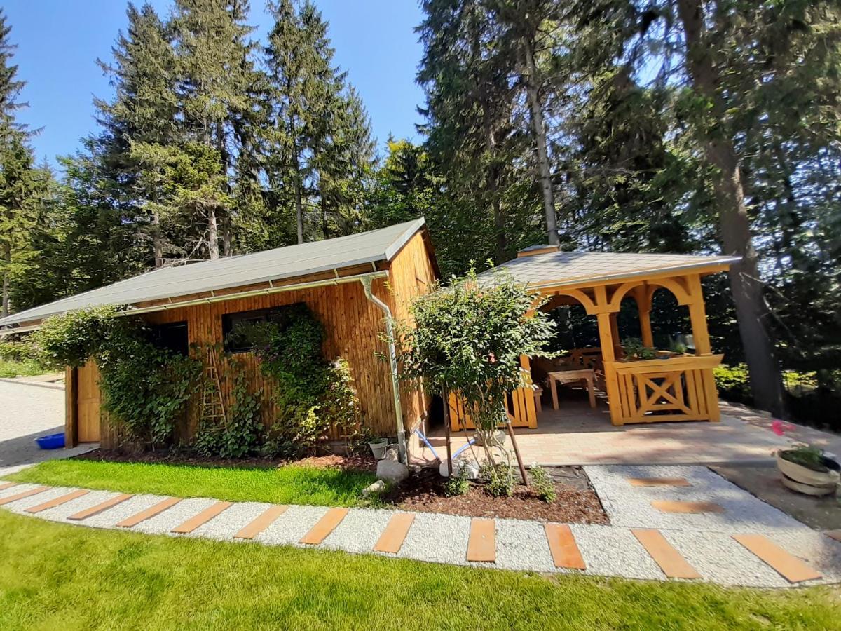 Apartamenty Przy Swierku Szklarska Poreba Exterior photo
